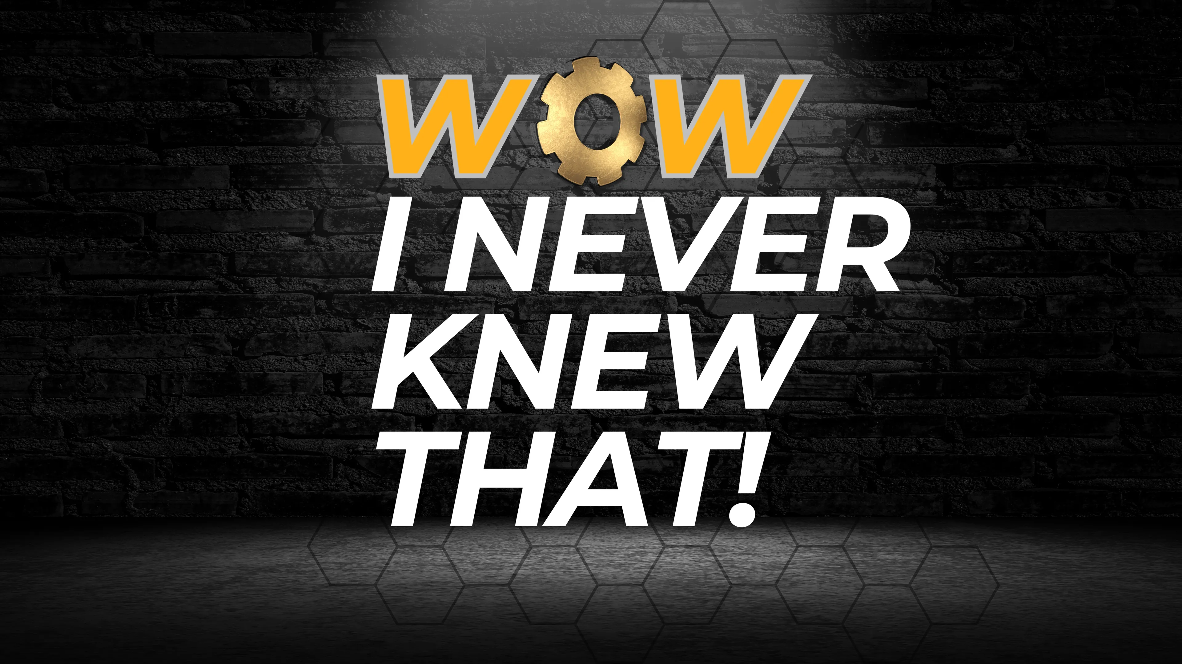 Wow, I Never Knew That! poster